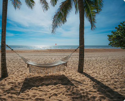 Hammock